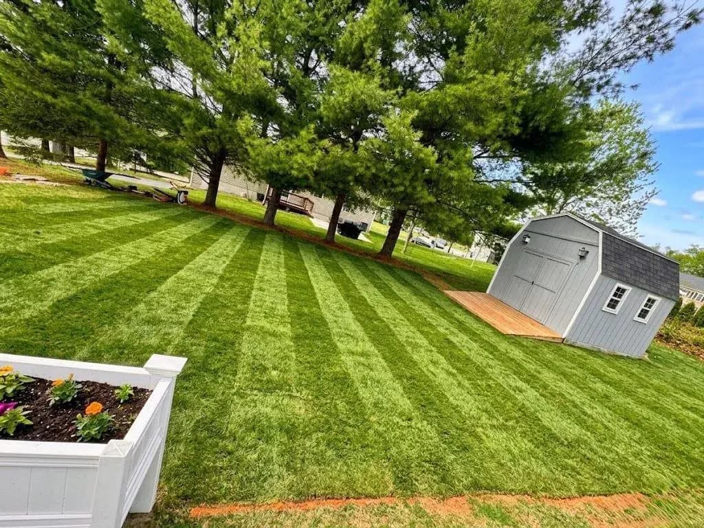 Sod Installation
