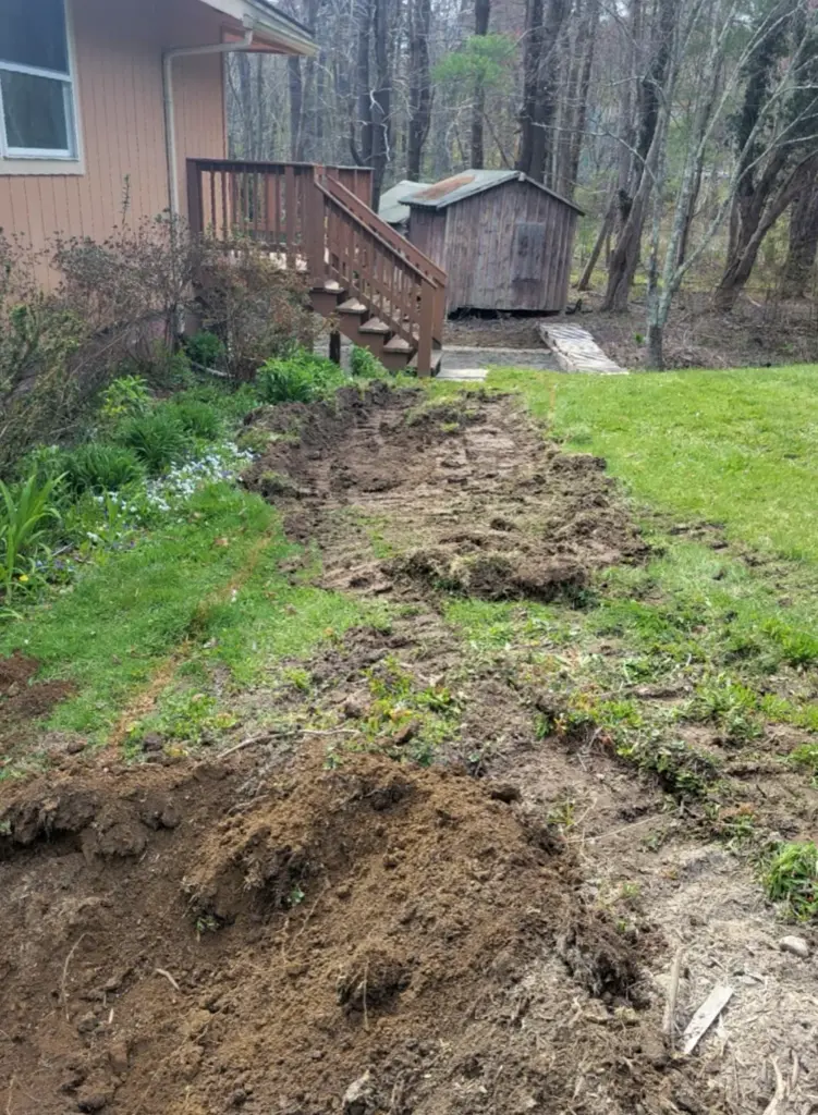 Backyard landscaping