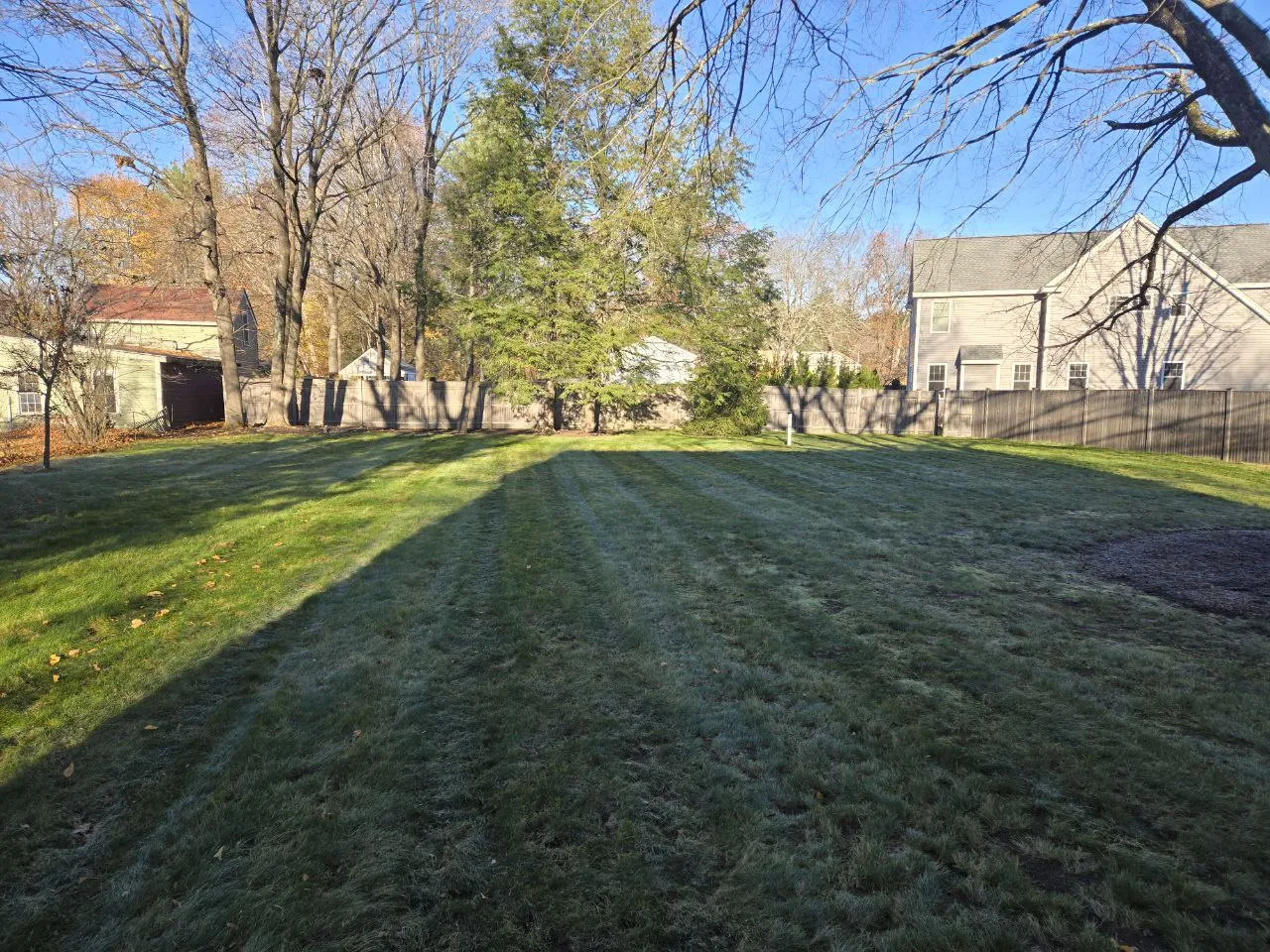 Spring Cleanup Season